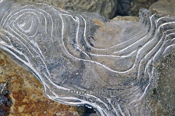 ice on stream 29 graphic